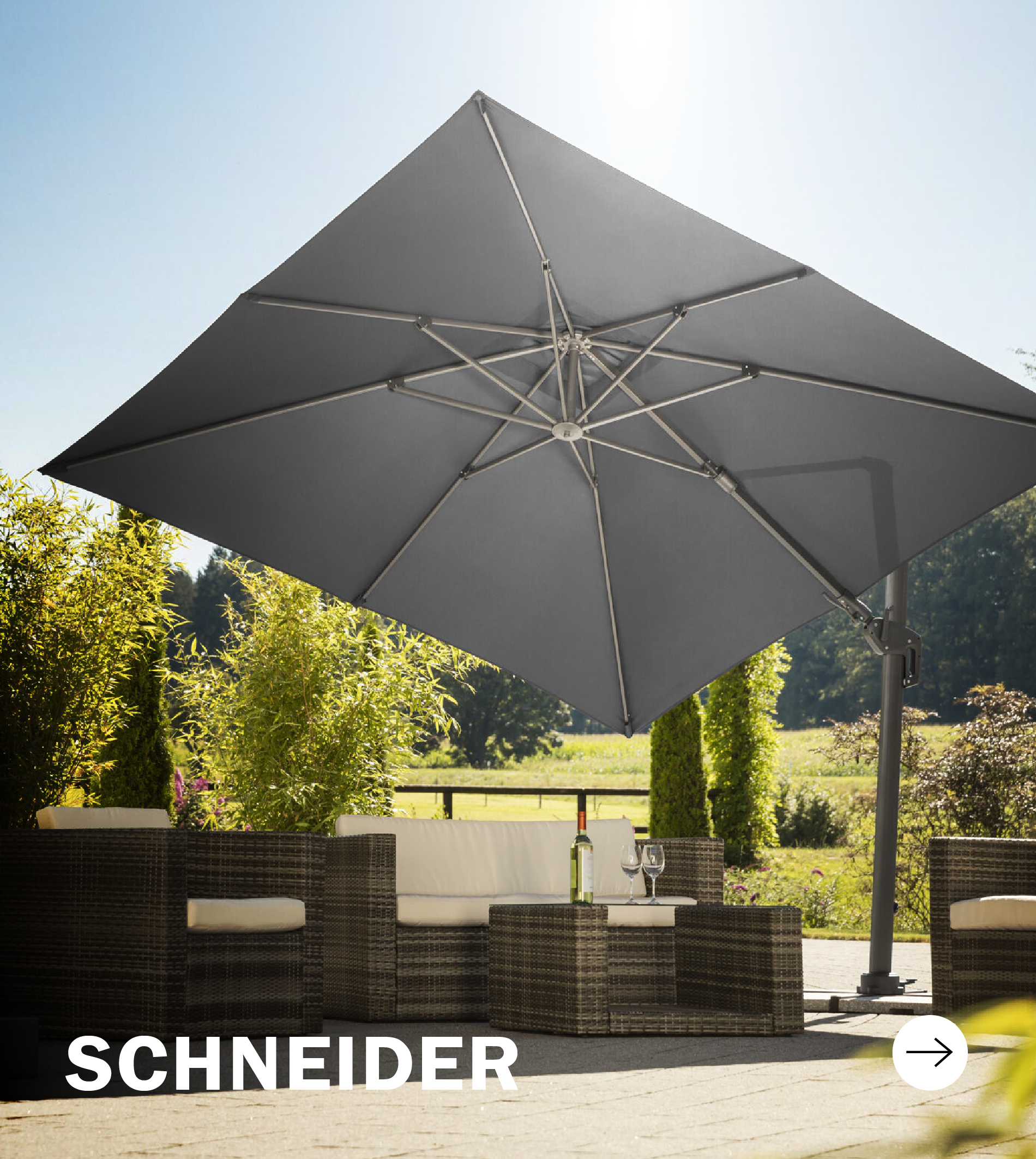 Logo del marchio Schneider