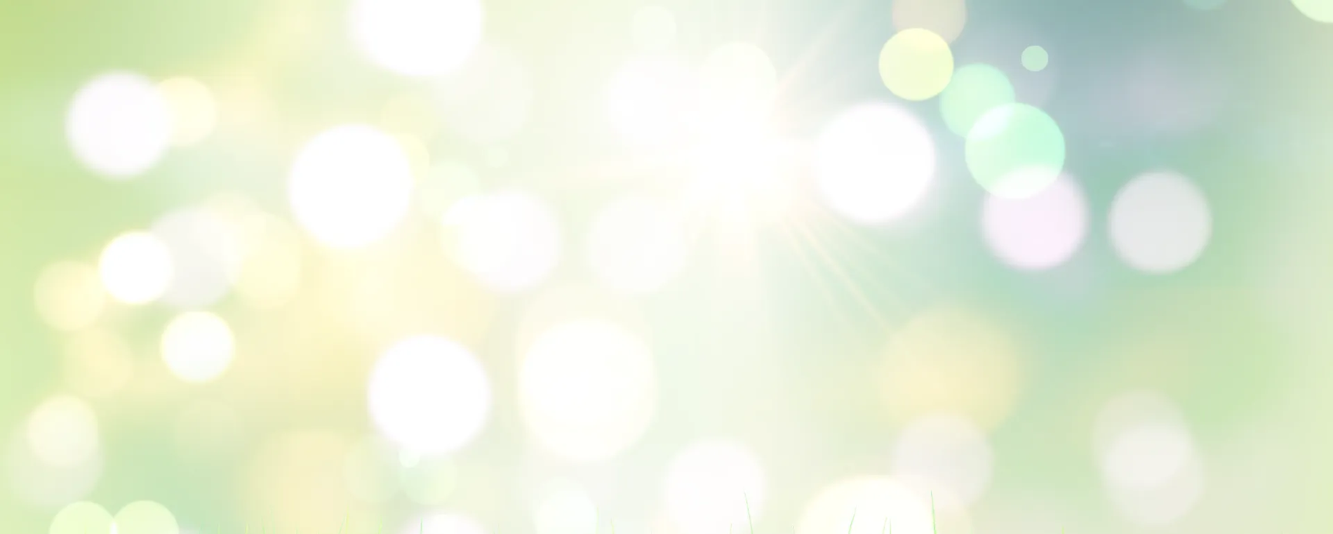 Marchi esclusivi in offerta