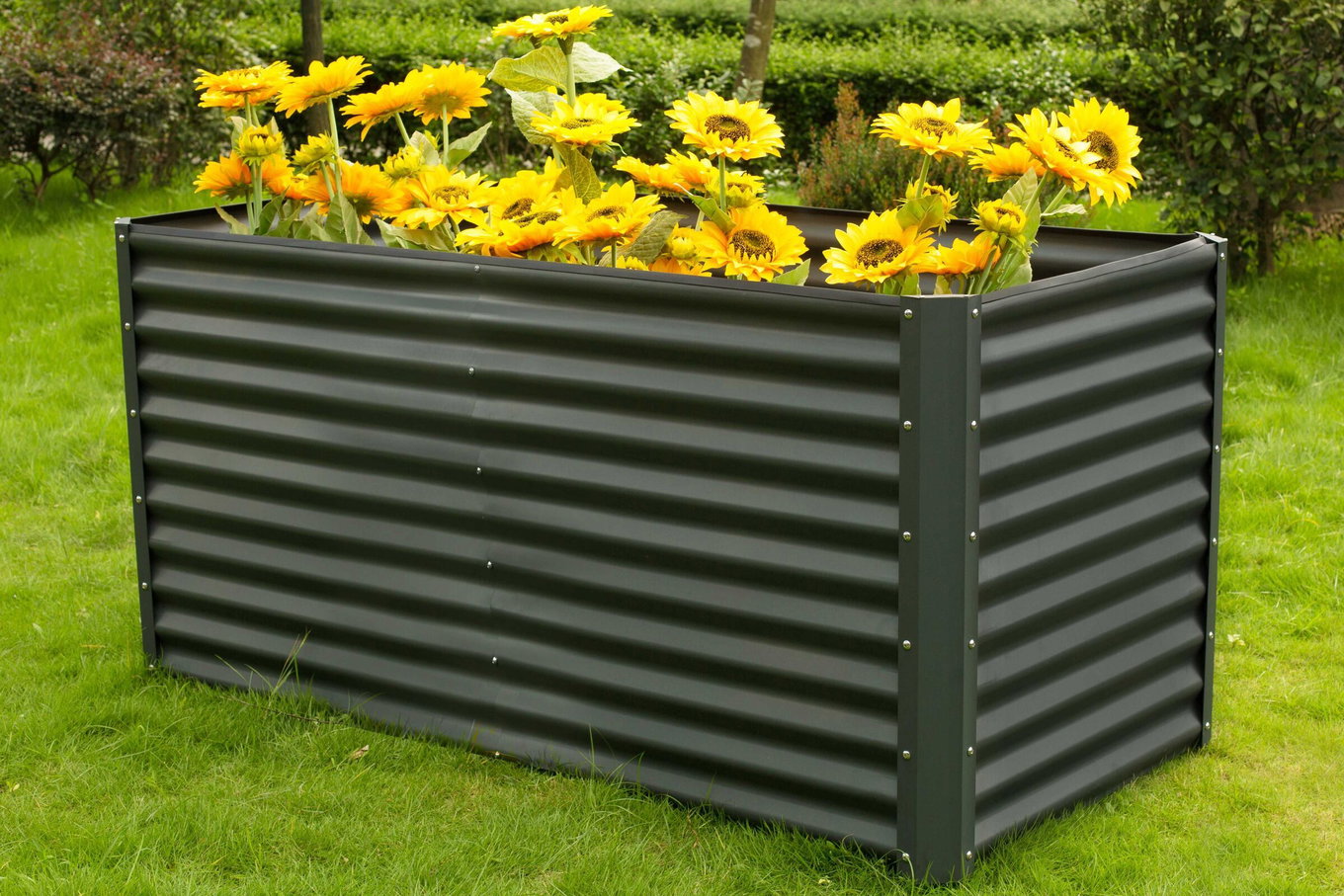 OUTFLEXX Orto rialzato, antracite, acciaio alluminio-zinco, verniciato a polvere, 180 x 90 x 84 cm 13726__1